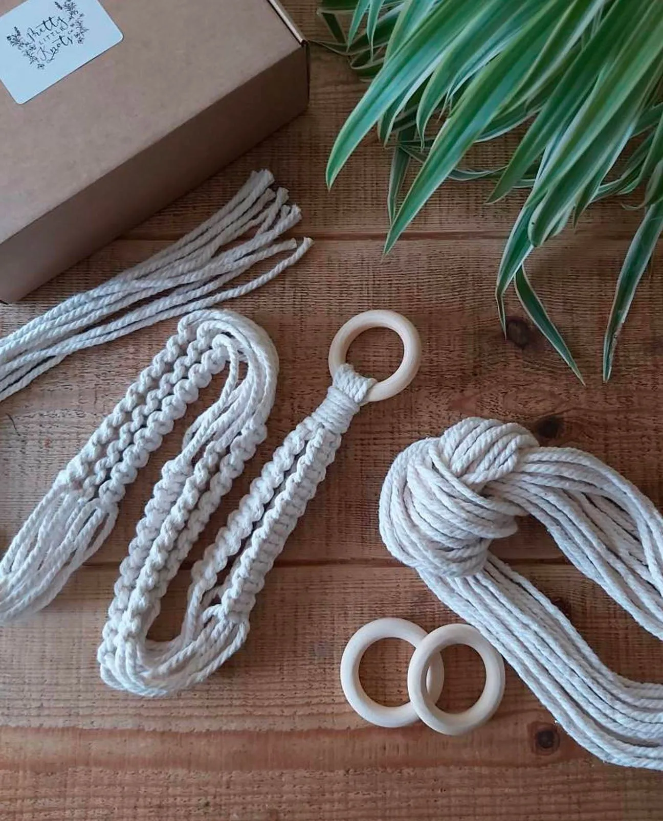 DIY Square Knot Macrame Plant Hanger Kit