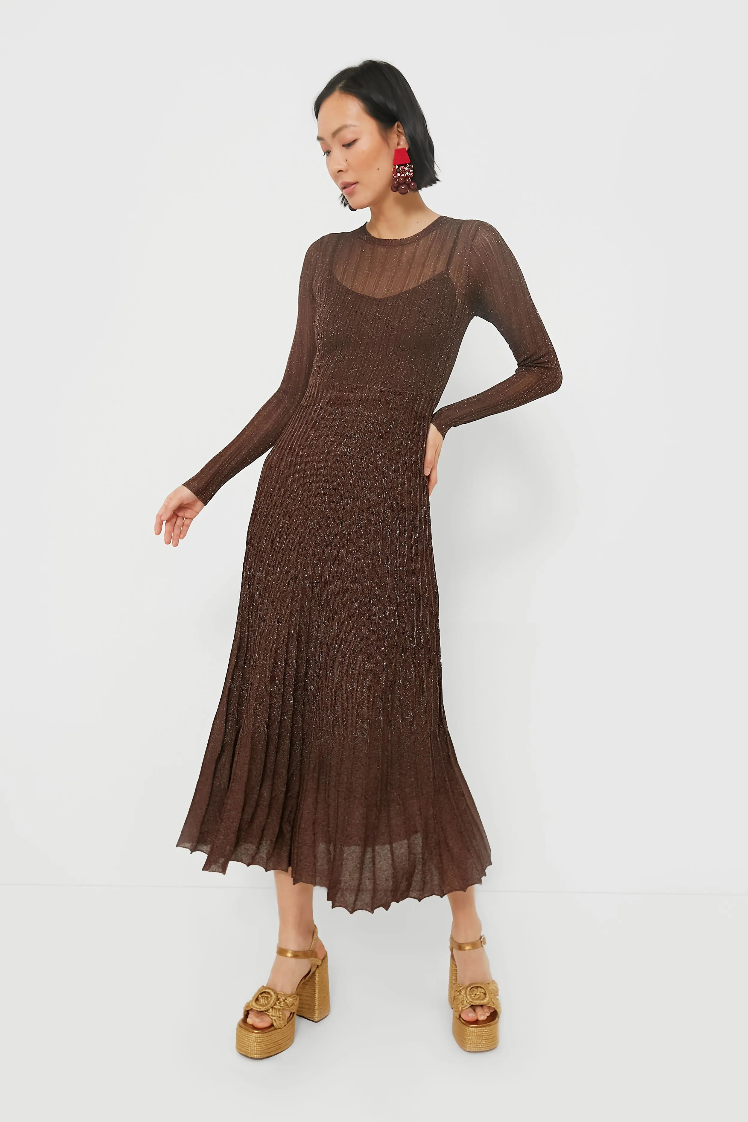 Exclusive Brown Long Sleeve Maxi Dress