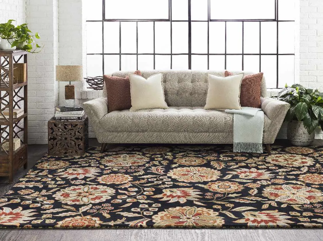 Heath Transitional Area Rug