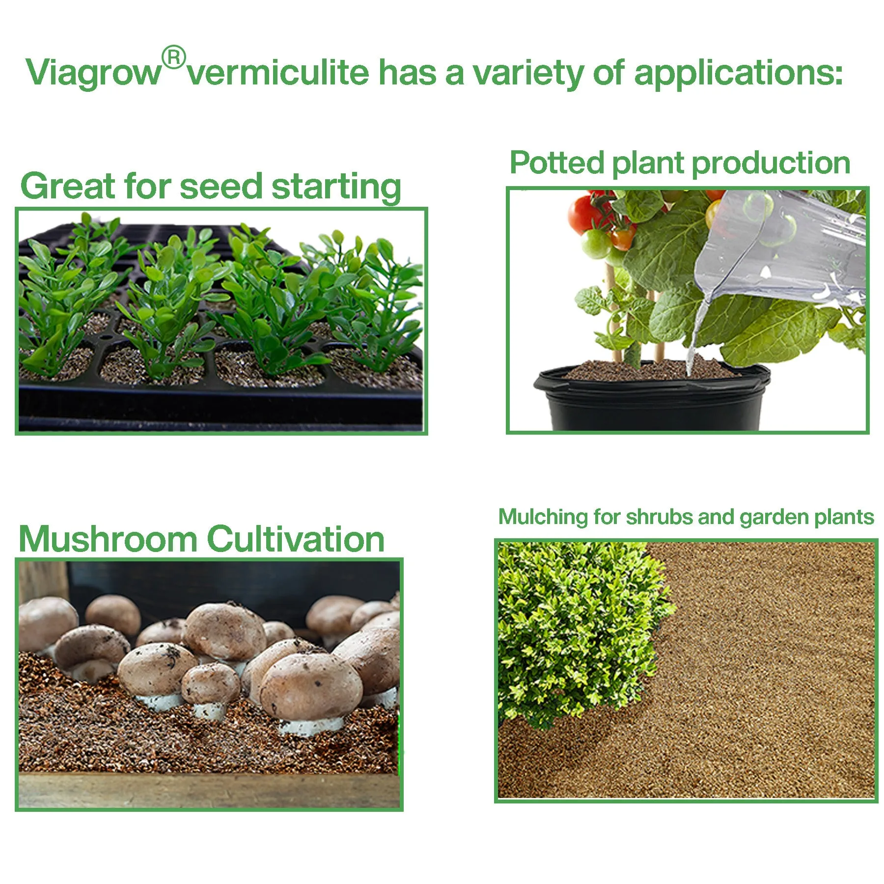 Viagrow 1CU. FT. Horticultural Vermiculite (EA)