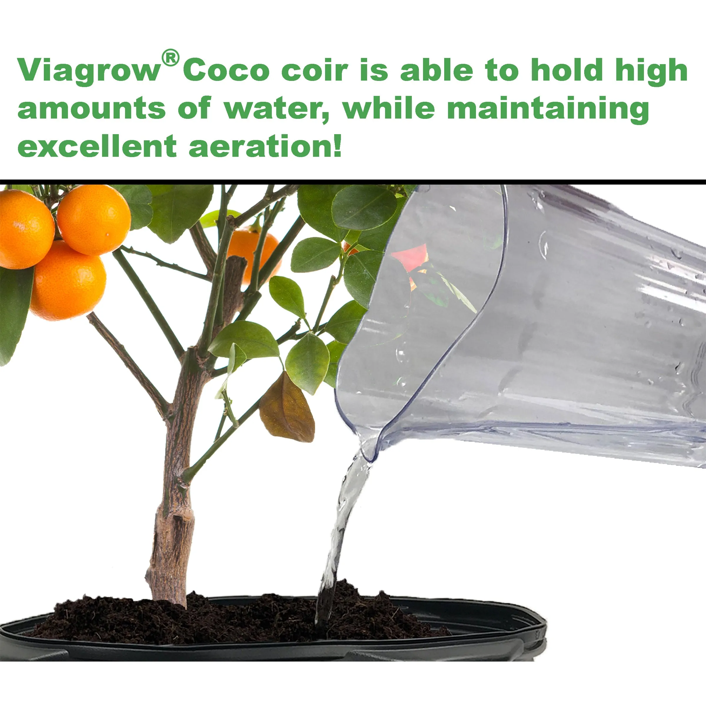 Viagrow 50L Buffered Coconut Coir Soilless Grow Media Bag, Loose