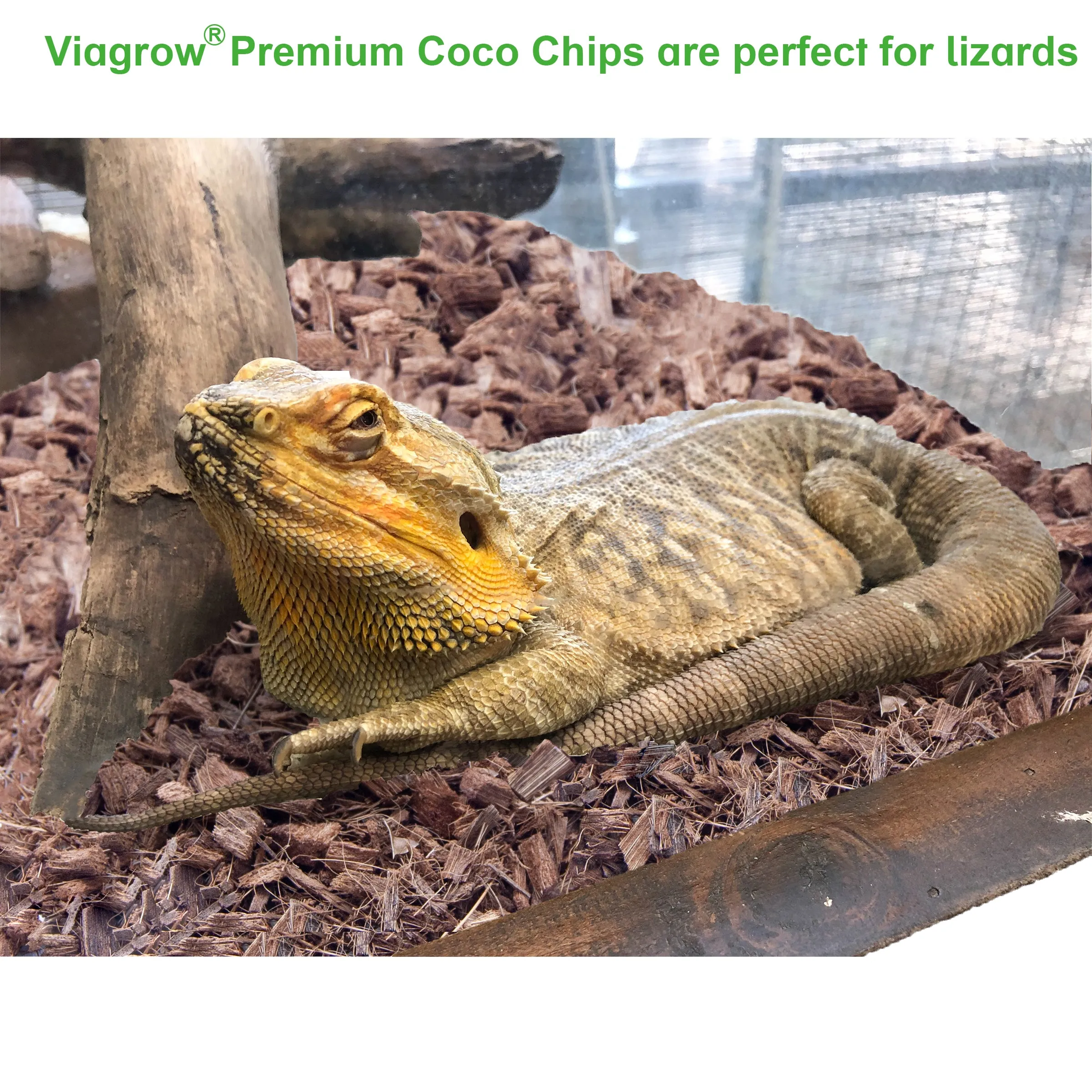 Viagrow 5KG Coco Chips Premium Reptile Bedding (EA)