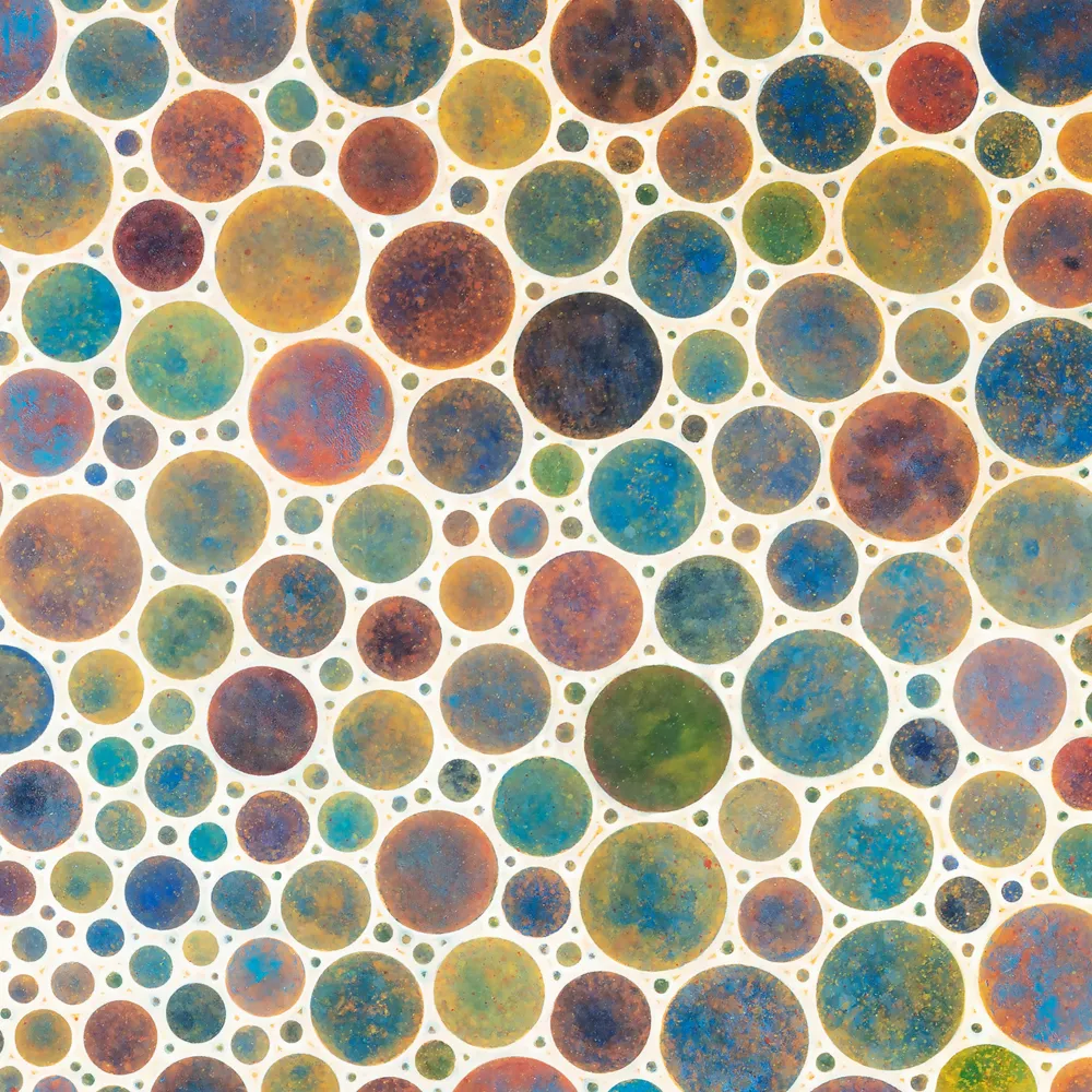 [white circles multicolor][limited edition print by seth b minkin]